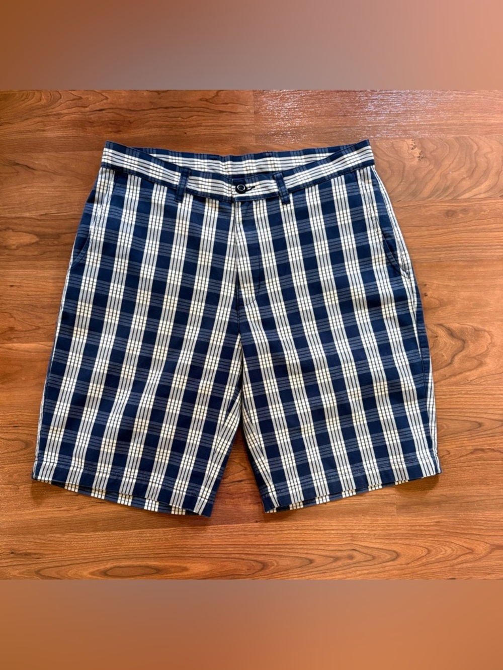 Patagonia Men's Organic Cotton Blue/beige, Plaid Check Casual Shorts Size 32